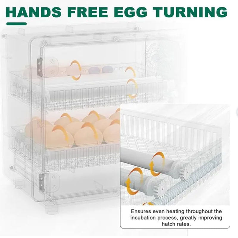 24 Egg Incubator Automatic Turner, Digital Hatchery Machine for Chicken Duck Quail, Touch Control Poultry Equipment - F.Market66F93E12E1EB4AA983EF5157FF490C4Eeprolo24 Egg Incubator Automatic Turner, Digital Hatchery Machine for Chicken Duck Quail, Touch Control Poultry Equipment24 Egg Incubator Automatic Turner, Digital Hatchery Machine for Chicken Duck Quail, Touch Control Poultry Equipment