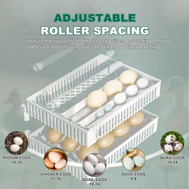 24 Egg Incubator Automatic Turner, Digital Hatchery Machine for Chicken Duck Quail, Touch Control Poultry Equipment - F.Market66F93E12E1EB4AA983EF5157FF490C4Eeprolo24 Egg Incubator Automatic Turner, Digital Hatchery Machine for Chicken Duck Quail, Touch Control Poultry Equipment24 Egg Incubator Automatic Turner, Digital Hatchery Machine for Chicken Duck Quail, Touch Control Poultry Equipment