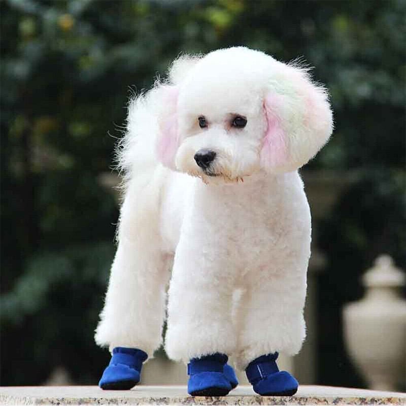 Small Dog Winter Boots, Waterproof Anti-Skid Paw Protectors for Chihuahua Teddy Puppy - F.Market797BB0011EB34CF5B2865EB3FF3684B6eproloSSmall Dog Winter Boots, Waterproof Anti-Skid Paw Protectors for Chihuahua Teddy PuppySmall Dog Winter Boots, Waterproof Anti-Skid Paw Protectors for Chihuahua Teddy Puppy
